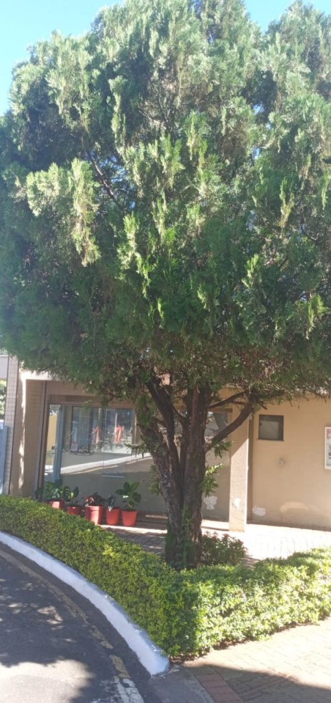 Residencial América do Sul II