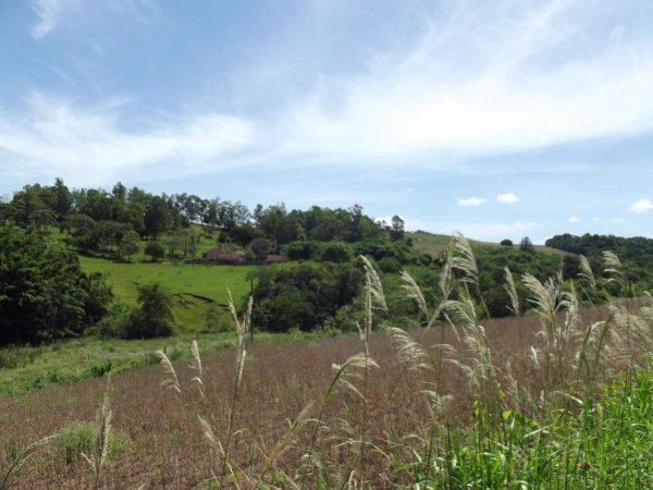 Fazenda em Santo Antônio da Platina
