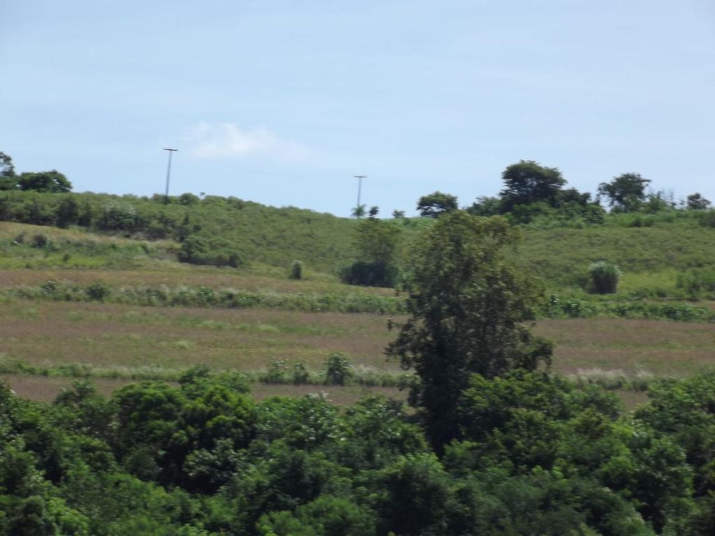 Fazenda em Santo Antônio da Platina