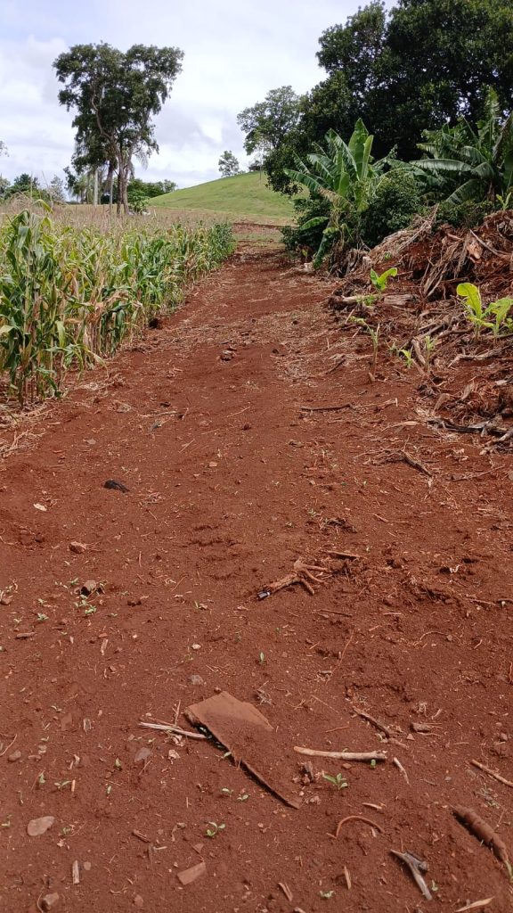 Chácara Pirianito | Uraí